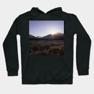 Lupin Field with the Sunset Behind a Mountain Hoodie